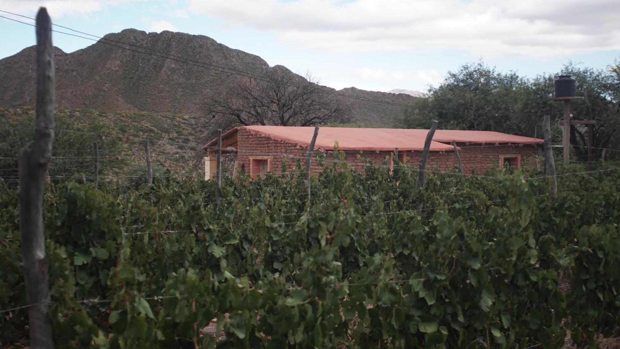 Hospedaje Finca La Encantada Seclantas Екстер'єр фото
