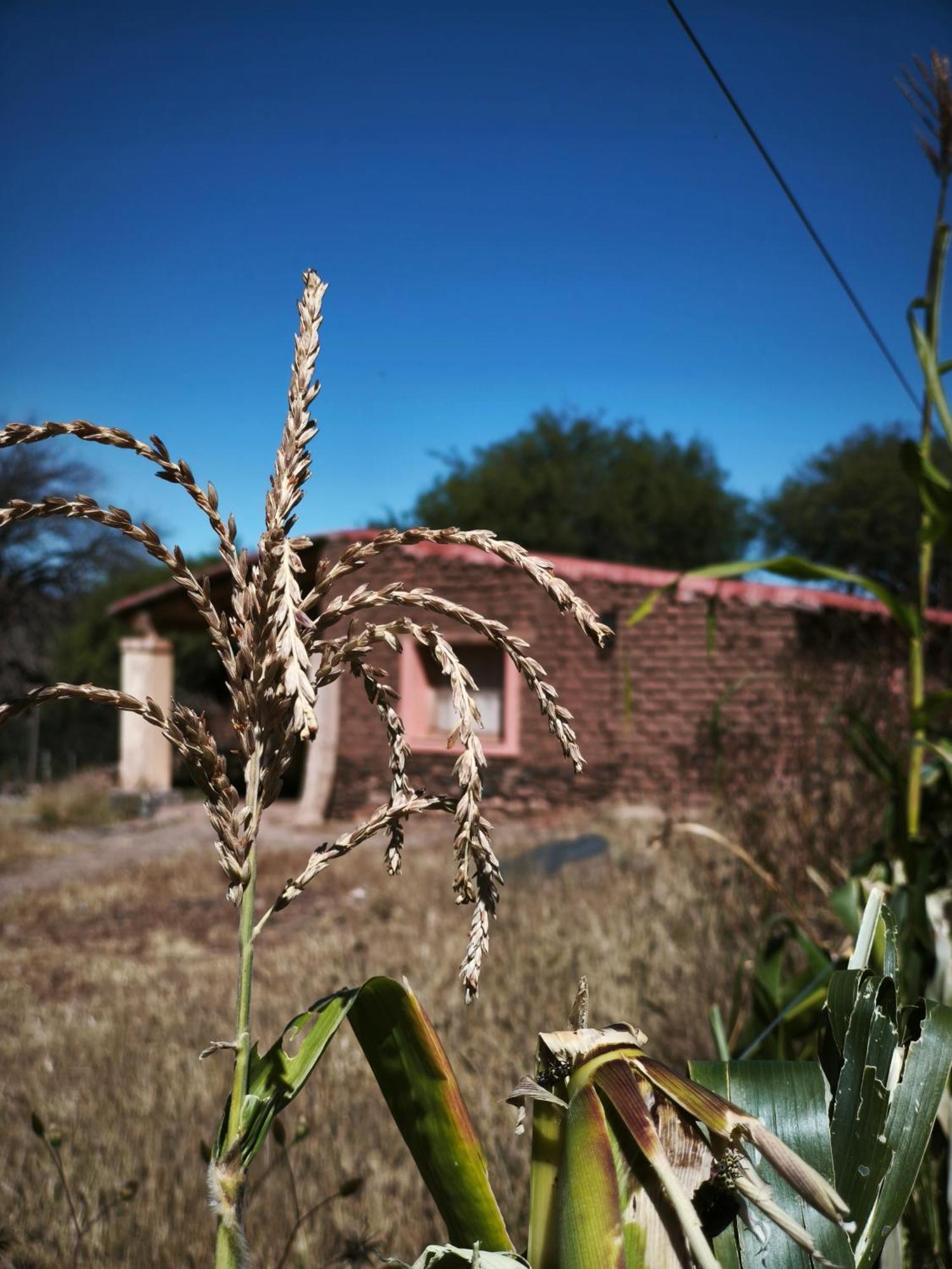Hospedaje Finca La Encantada Seclantas Екстер'єр фото